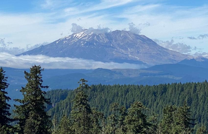 Huckle Berry Camp Mountain