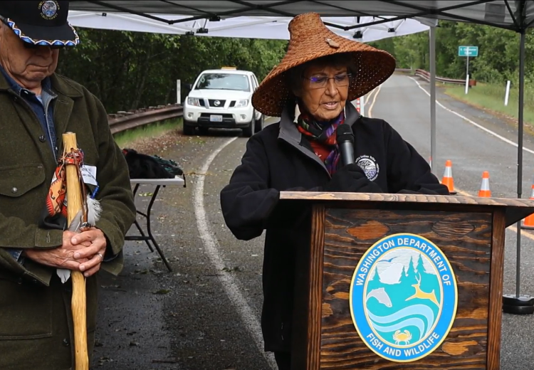 Cowlitz Indian Tribe Spiritual Leader speaking in front of podium labeled Washington Department of Fish and Wildlife with Cowlitz Chairman on her right looking down with a cowlitz indian tribe logo on his hat and a traditional walking stick in his arm. Both appearing under a pop-uptent. 